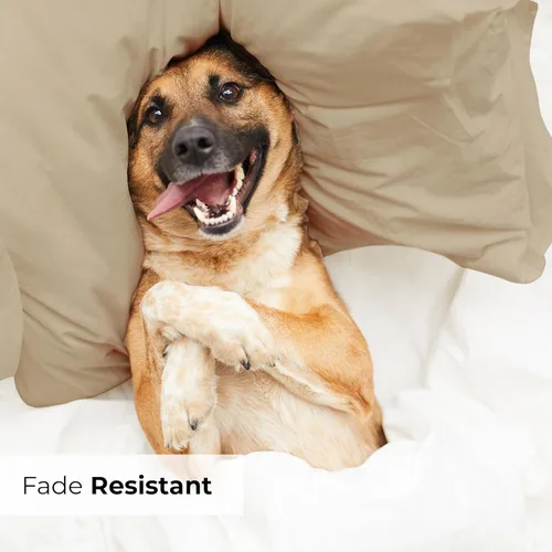 Vista 6 de Juego de 2 fundas de almohada King Fundas de almohada suaves de calidad de hotel Ropa de cama cómoda y de lujo para mujeres, hombres, niños