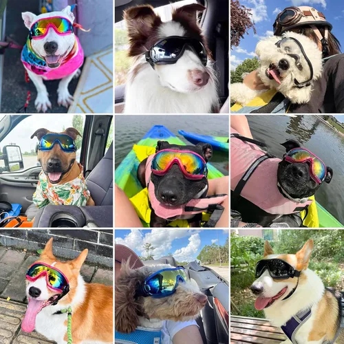 Vista 2 de Gafas de sol para perros, gafas de sol para mascotas medianas y grandes, protección contra el viento, protección contra el polvo, correa ajustable
