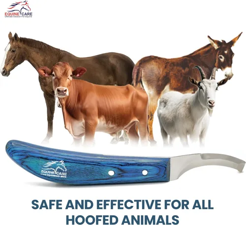 Vista 7 de Equine Care Cuchillo de pezuña para zurdos – Cortadora de pezuñas de doble extremo con hoja de acero inoxidable J2 ultraafilada, mango ergonómico