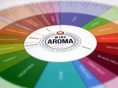 Vista 6 de Wine Folly - Paquete de 20 manteles individuales con notas de cata de vinos (12 x 16 pulgadas)