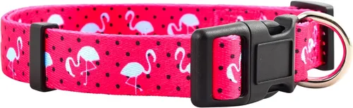 Vista 11 de Native Pup Collar de perro con estampado de animales, patrón de peces de trucha de arroyo, regalo para pescador, cachorro al aire libre
