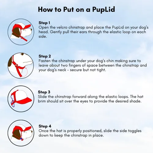 Vista 5 de PupLid Gorras de béisbol para perros, protección solar elegante de primera calidad para el perro moderno (pequeño, caqui y marrón)