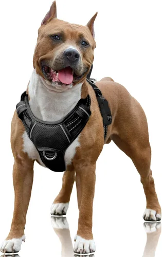 Vista 104 de BARKBAY Arnés para Perro Sin Tirones Talla Grande Arnés Reflectante para Perro con Clip Frontal y Asa de Control Fácil para Caminar Entrenar Correr