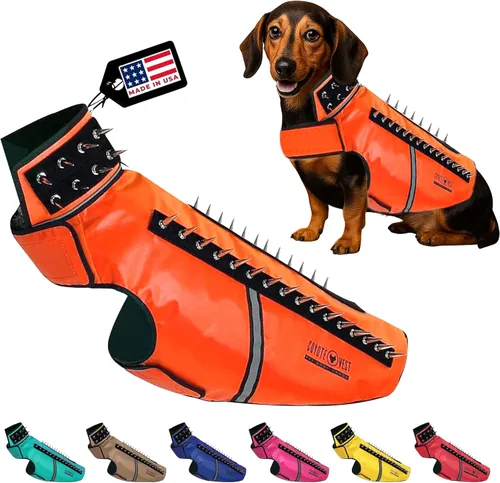 Vista 23 de CoyoteVest SpikeVest - Chaleco de arnés para perro, accesorios reflectantes para perros con picos para proteger a tu mascota de ataques de Raptor