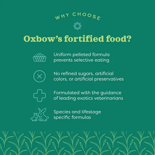 Vista 3 de Oxbow Essentials - Alimento para conejos, conejo joven, fabricado con Oxbow Timothy, pellets de comida para mascotas para conejos, productos