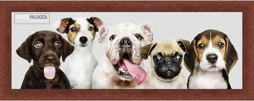 Vista 12 de Poster Palooza 3x3 Inch Traditional Walnut Complete Wood Square Picture Frame with UV Acrylic Plexiglass, Foam Board Backing & Hardware Included