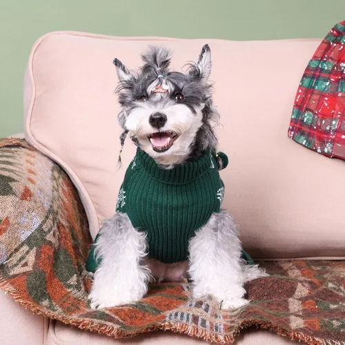 Vista 6 de CuteBone Suéter de Navidad para perro feo, suéter de invierno de punto de cuello alto verde con pompones artesanales, vestido con volantes