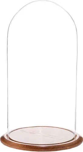 Vista 4 de Plymor 11.75" x 23" Pantalla de cristal Dome Cloche (base de chapa de nogal)