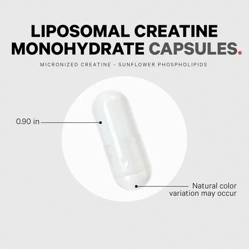 Vista 7 de Codeage Suplemento de monohidrato de creatina liposomal, creatina pura de 2500 mg – suministro de 3 meses, micronizada, músculos de creatinina