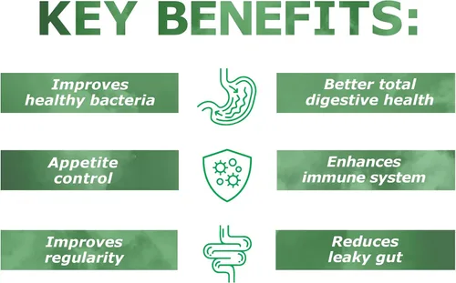 Vista 4 de Prebiotin - Fibra prebiótica 4 g., PB-60, 1, 1