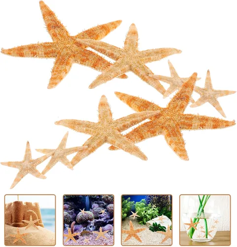 Vista 7 de SEWACC 100 piezas de océano, playa, conchas marinas, estrellas de mar, pecera náutica, acuario, decoración de mesa, jarrón disperso para decoración