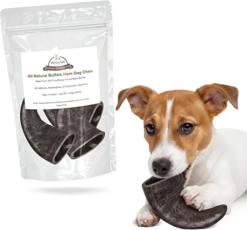 WhiteTail Naturals - Cuernos de búfalo de agua para perros (paquete de 3 unidades pequeñas a medianas de 4 pulgadas) Hueso de perro totalmente