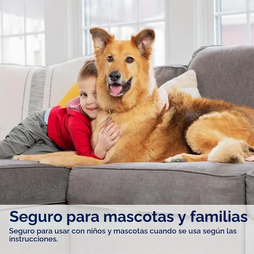 Vista 8 de Bissell Woolite - Eliminador de orina para mascotas con BrushHead, 4PK, 3773L