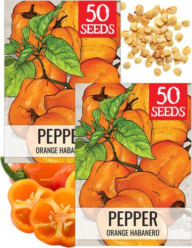 Vista 21 de Seed Needs - Semillas de pimiento arcoíris para plantar verduras, 1 paquete