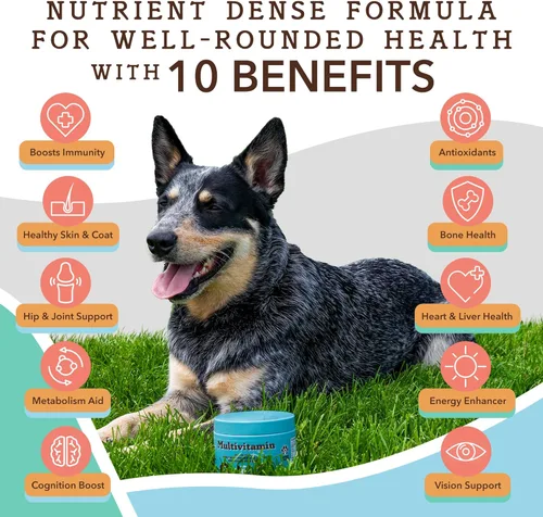 Vista 4 de Natural Dog Company Suplementos para perros para personas mayores y perros activos, masticables multivitamínicos y alivio de cadera