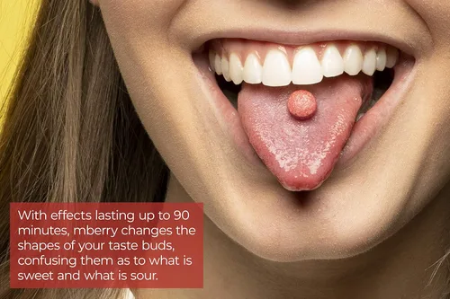 Vista 2 de mberry, pastillas Miracle Fruit, 10 unidades (paquete por 2)