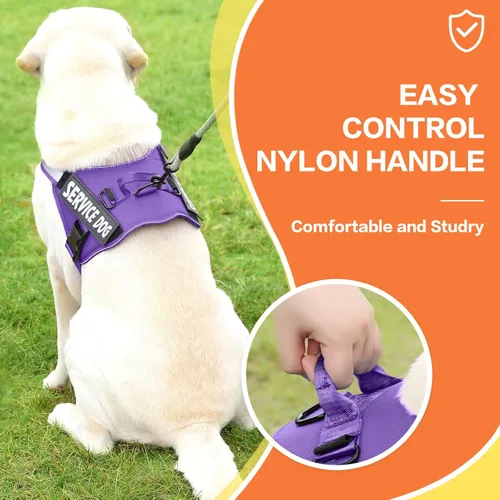 Vista 4 de MUMUPET Arnés para perro, chaleco reflectante sin tirones, arnés transpirable ajustable para mascotas con asa para caminar al aire libre, no más