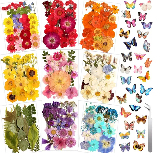 318 calcomanías de mariposas de flores prensadas para manualidades, flores secas reales prensadas a granel, flores secas naturales con calcomanías