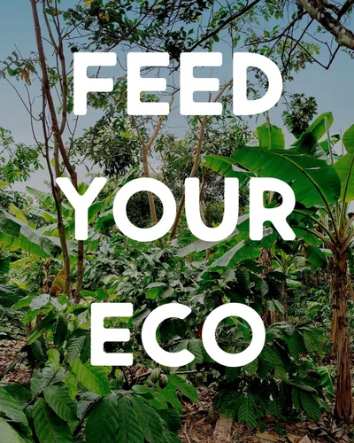 Vista 6 de Alter Eco Barras de chocolate negro Cacao oscuro puro, comercio justo, orgánico, sin OMG, sin gluten (paquete de 2 súper apagón)