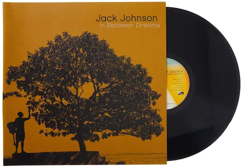 Vista 3 de In Between Dreams