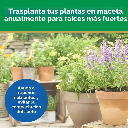 Vista 8 de Miracle-Gro Mezcla para macetas con control de humedad, para plantas en contenedor, protege contra el riego excesivo y insuficiente, 8 cuartos