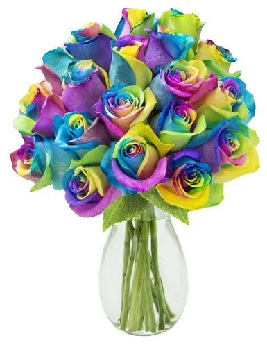 Vista 34 de KaBloom Entrega al día siguiente: colección para el día de la madre, 6 rosas arcoíris con ramo de verde. Regalo para cumpleaños, condolencias