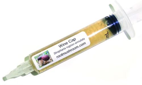 Vista 32 de Root Mushroom Farm - Cultivos líquidos de hongos/Portobello (agaricus bisporus)