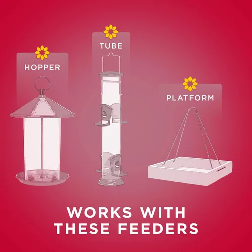 Vista 7 de Audubon Park Cardinal Blend - Alimento para pájaros silvestres, semillas de pájaro cardenal para comederos exteriores, bolsa de 4 libras