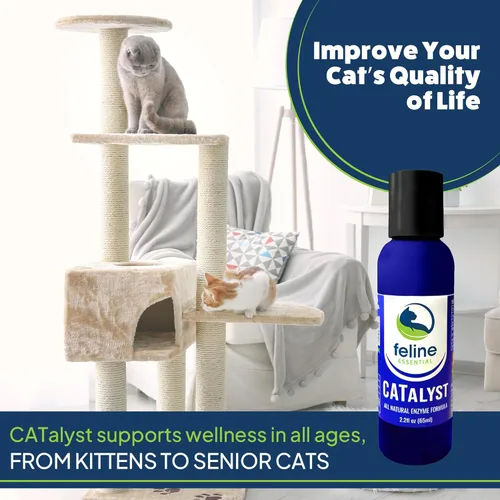 Vista 3 de Feline Essential Catalyst - Fórmula enzimática antioxidante para gatos - Enzima digestiva para gatos - Enzimas digestivas para gatos - Soporte