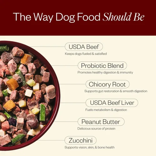 Vista 5 de Maev Alimento para perros de carne de res de grado humano, fórmula para peso y digestión, ingrediente entero, sin gluten, alto en proteínas