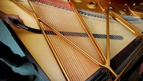 Grand Piano Sweeper Limpiador de tablero de sonido plumero 50" de largo