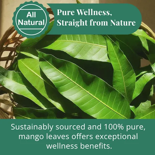 Vista 5 de Akshit Hojas secas de mango, hojas secas, hojas de mango secas, té de hojas naturales, sin aditivos, sin cafeína, sin OMG. 5.2 oz