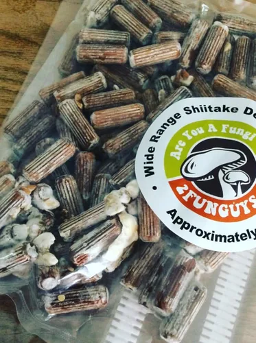 Vista 2 de Kit de inicio Shiitake Plug Spawn - Cultiva tus propios hongos