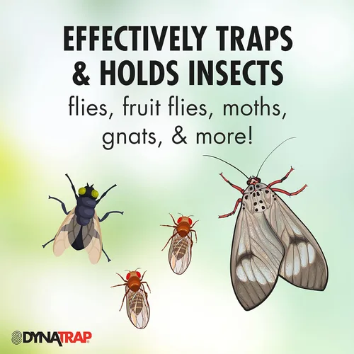 Vista 3 de DynaTrap 230093 Tarjetas adhesivas StickyTech de repuesto para Flylight, trampa de enchufe para moscas y otros insectos voladores en interiores