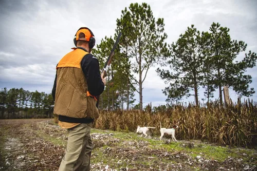 Vista 2 de Walker's Razor Slim Passive Earmuff