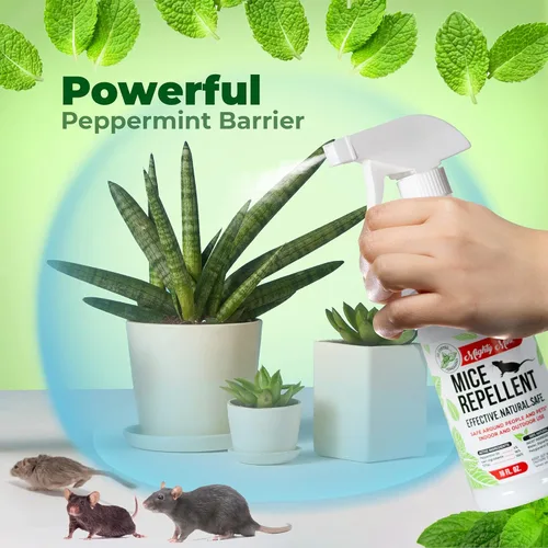 Vista 5 de Spray repelente de ratones de aceite de menta de Mighty Mint Control natural para interiores y exteriores de ratones y roedores Fórmula extra