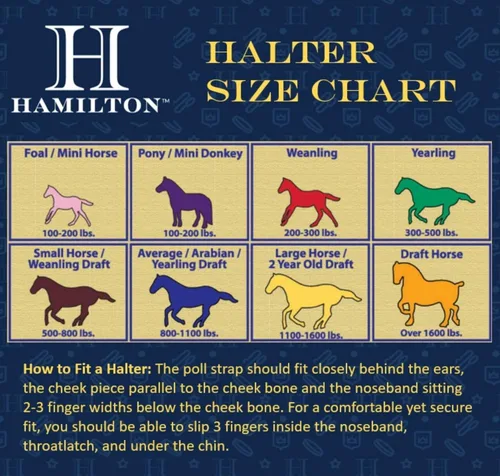 Vista 2 de Hamilton Cabestro de nailon de 1 pulgada con barbilla ajustable, color azul, tamaño grande
