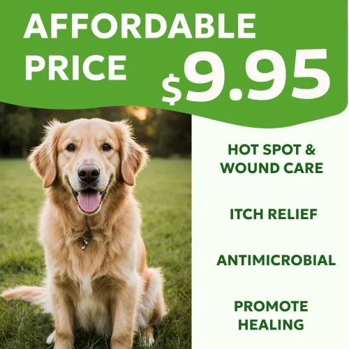 Vista 7 de Forticept Kit de Cuidado de Puntos Calientes y Heridas, Spray de Alivio de Picazón para Perros y Gatos 8 oz + Hidrogel para Promover la Curación