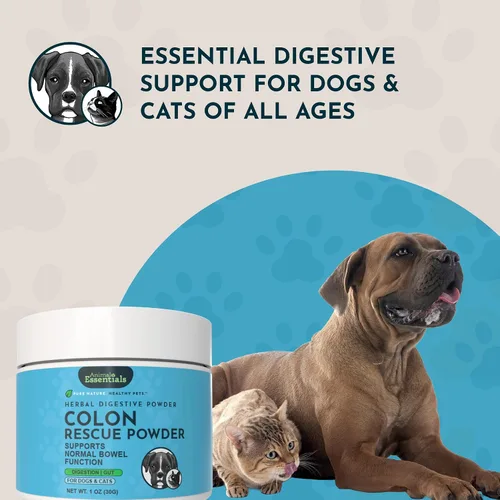 Vista 7 de Animal Essentials Polvo de rescate de colon ayuda digestiva a base de hierbas para perros y gatos, 1 onza – Hecho en Estados Unidos GI Support