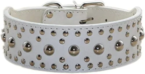 Vista 9 de Collar de perro con tachuelas, remaches de hongos, collar de cuero con tachuelas para perros medianos y grandes, collar de pastor alemán ajustable