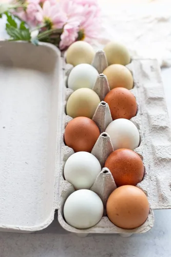 Vista 3 de Cartón de pulpa de papel plano de 12 huevos en blanco - Cartones de huevos a granel (250)