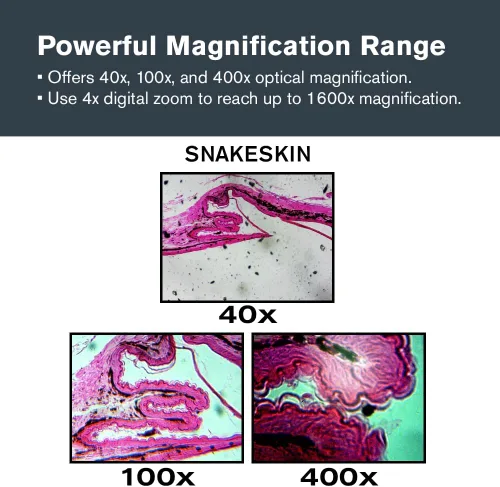 Vista 5 de Celestron – Microscopio digital LCD II – Pantalla de 3.5" – Cámara de 5MP – Aumento de 40x–1600x – Cabezal giratorio – Tarjeta SD incluida – Salida