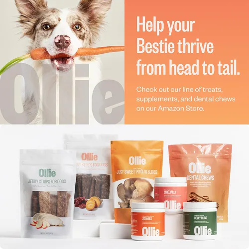 Vista 6 de Ollie Masticables dentales para perros extra pequeños, 12 onzas, aliento fresco, golosinas de limpieza de dientes, palos para el cuidado bucal