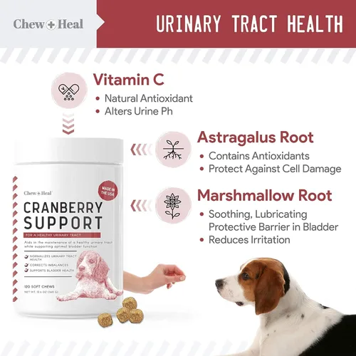 Vista 3 de Enzimas digestivas y probióticos y soporte para las infecciones urinarias de arándano para perros - Apoya el tracto digestivo saludable, ayuda a