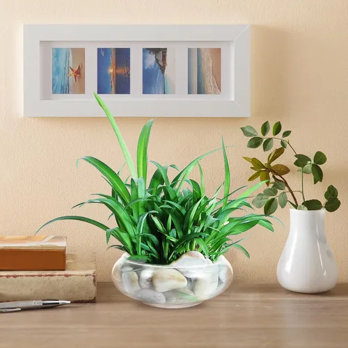 Vista 9 de Happyyami Jarrón de vidrio para peces de vidrio, cuenco transparente de boca ancha, jarrón redondo para terrario, planta de aire, maceta hidropónica