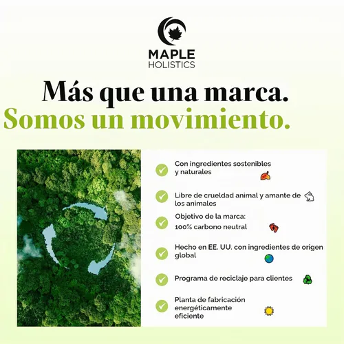 Vista 9 de Acondicionador Maple Holistics de aceite de árbol de té, para el cuidado del color, la resequedad y la caspa, y un tratamiento para el cabello