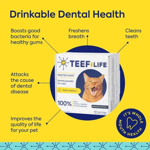 Vista 3 de TEEF FOR LIFE Protektin30 - Paquete de repuesto en polvo dental prebiótico para gatos, fórmula derivada de plantas, clínicamente probada que combate