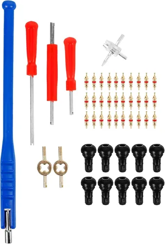 Alasum 47pcs Tire Valve Stem Tool Set with Puller and Core Remover Blue Handle Valve Stem Installer for Car and Motorcycle Wheel Repair