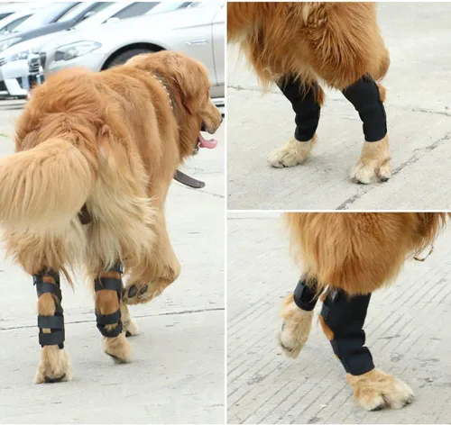Vista 7 de Alnicov 1 par de rodilleras para mascotas, para perros con artritis y lesiones