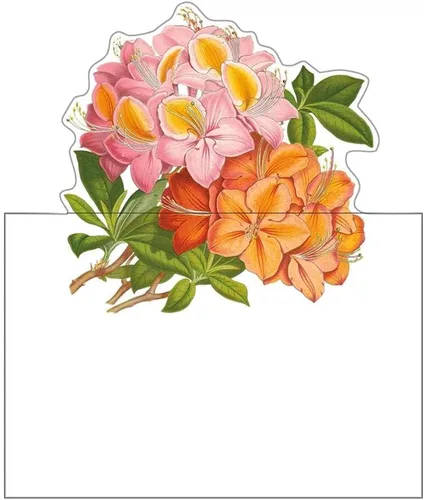 Vista 2 de Caspari Jefferson's Garden Study - Tarjetas de identificación troqueladas, 8 por paquete